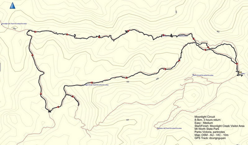 Moonlight Circuit_osm_tks_rs.jpg