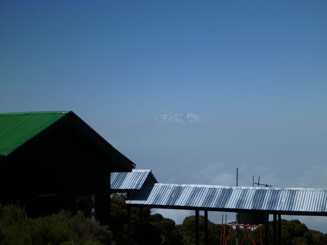 Kilimanjaro.jpg