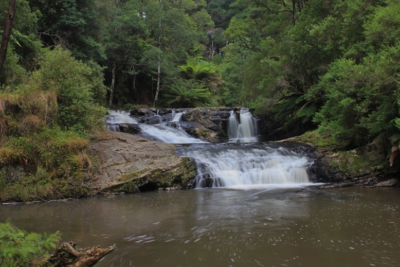 Morwell River Falls Lower.jpg