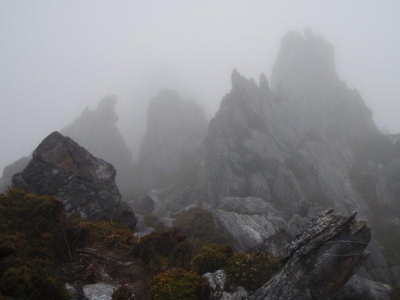 misty.jpg