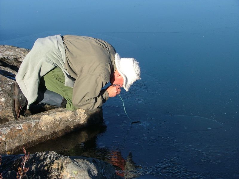 Yabbie Straw.jpg