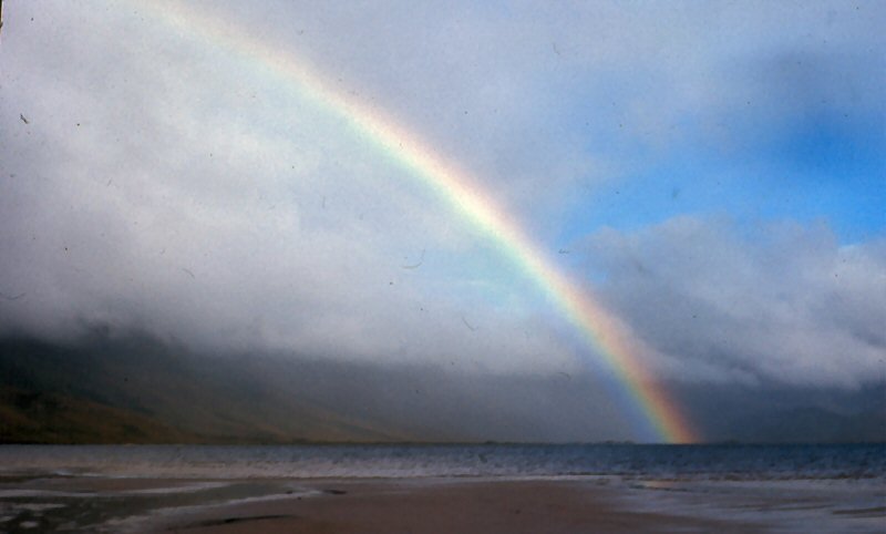 Lake Pedder 3.jpg