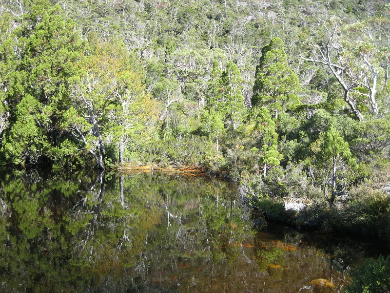 Small tarn near Lake Hanson.JPG