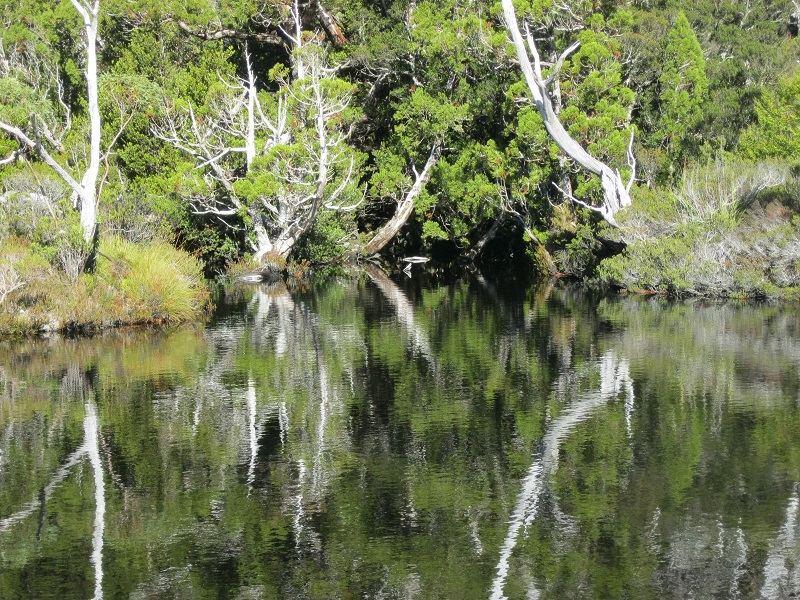 Tarn near Lake Hanson.JPG