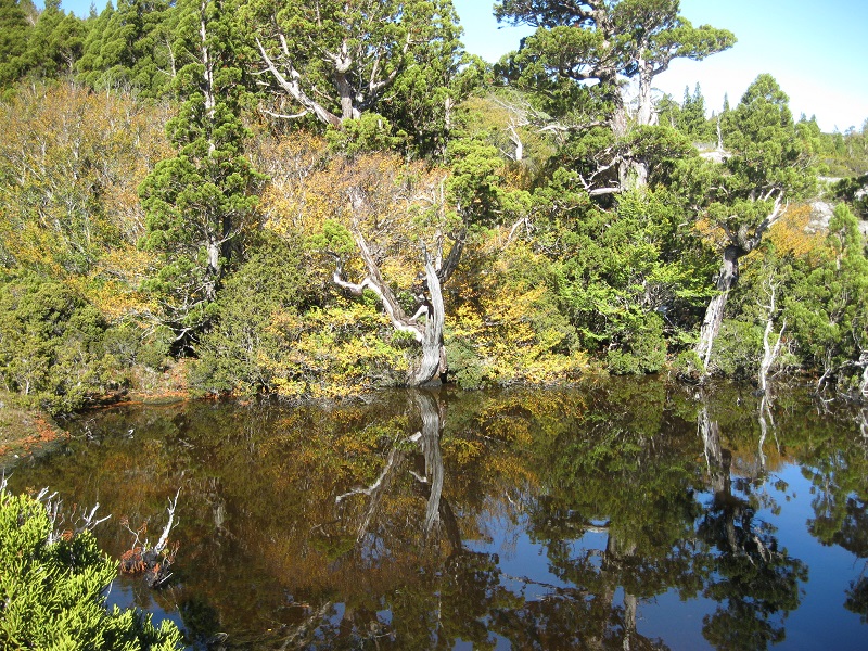 Reflections in Twisted Lakes.JPG