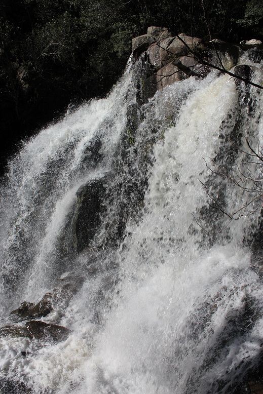Snobs Creek Falls.jpg