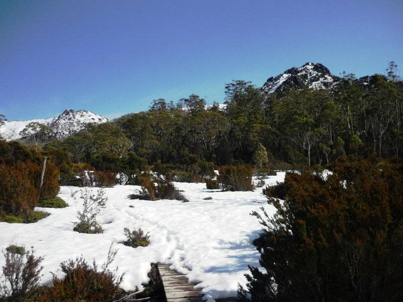 Mount Rufus + Little Hugel Tracks.jpg