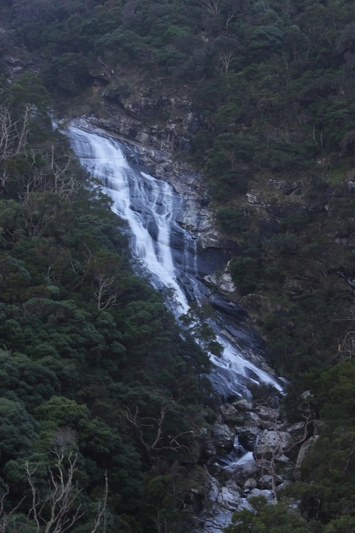 Carisbrook Falls.jpg