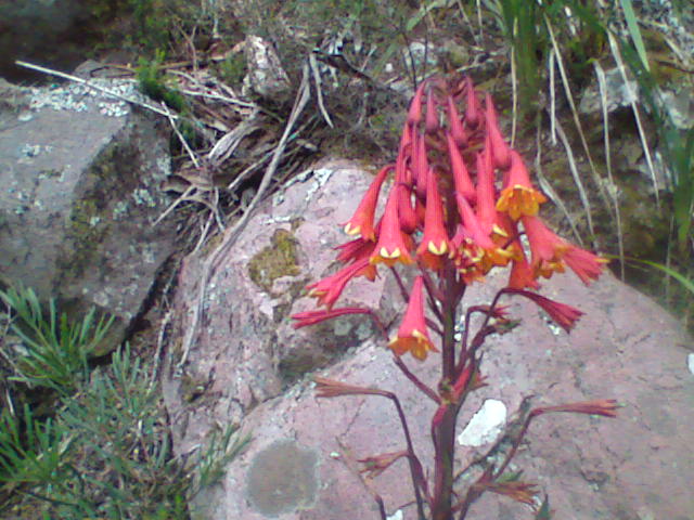 Image018.jpg