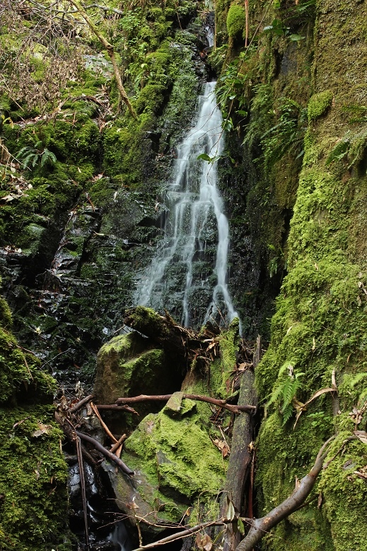 Green Chasm Falls (Mousetrap Complex).jpg