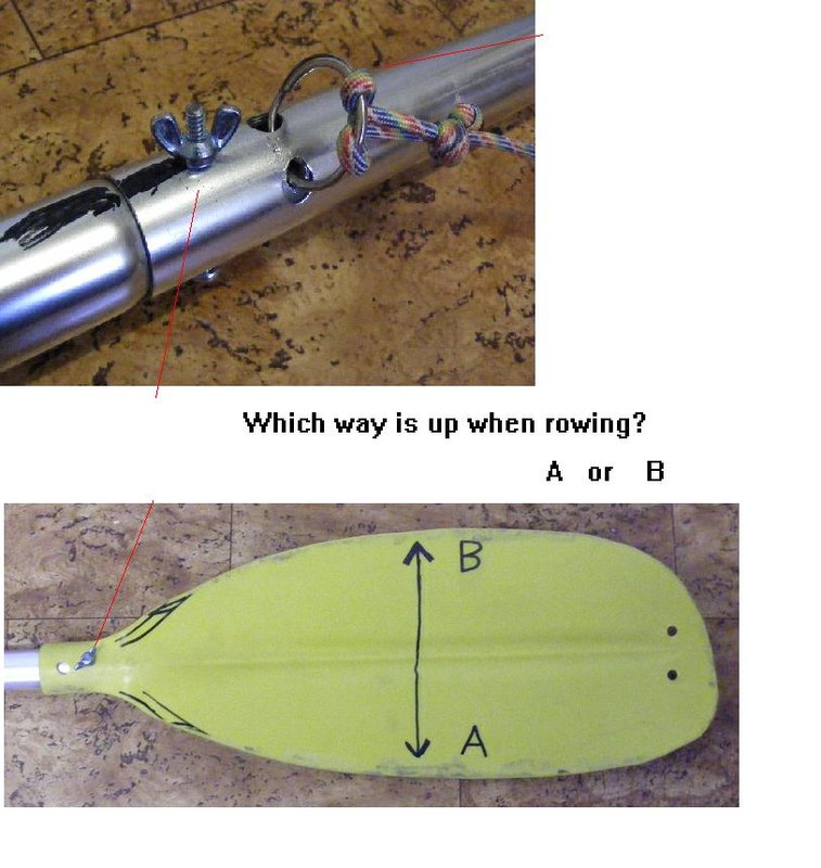 oar2.JPG