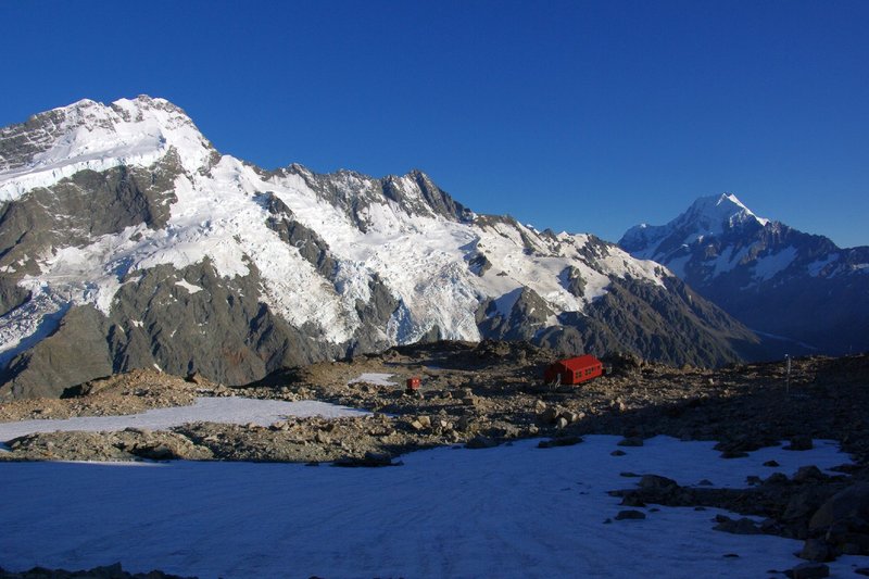 NZ2350.jpg