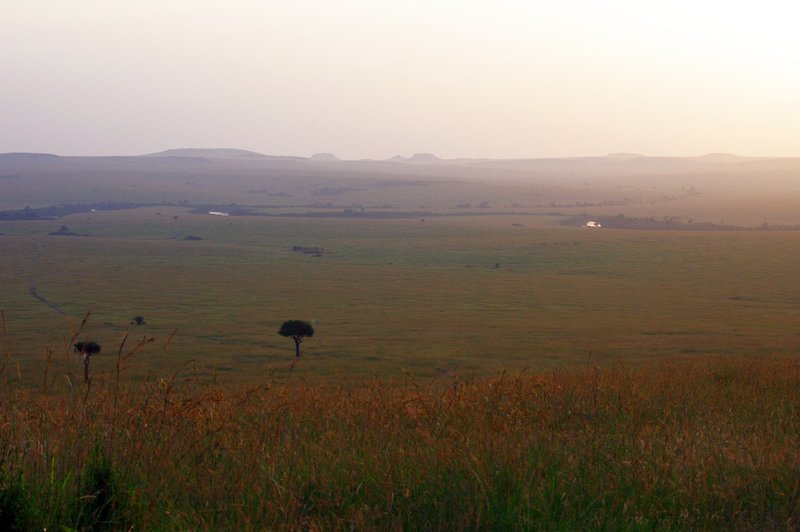 Africa1320.jpg