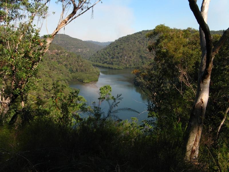 Berowra Creek GNW.jpg