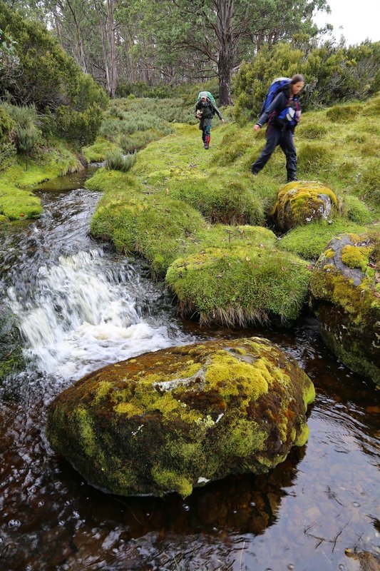 downstream.jpg