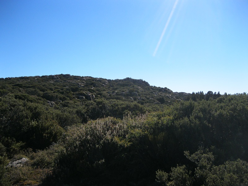IMG_3255.JPG