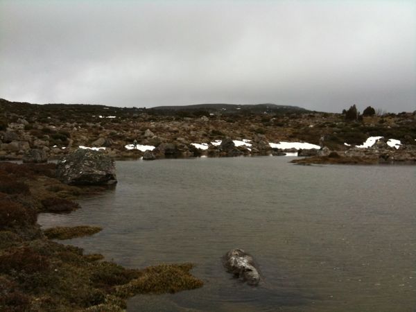 IMG_0060.jpg