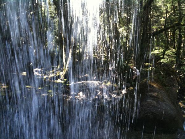 IMG_0113.jpg