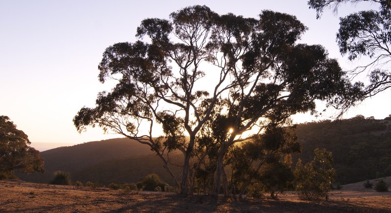 19 - Sunset above Eagle Waterhole.jpg