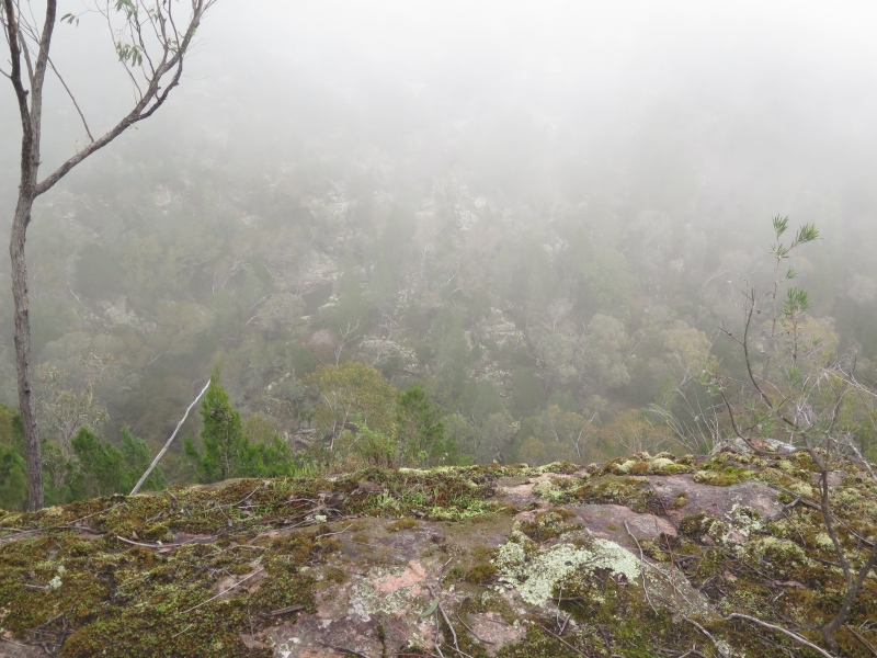 flaggy creek gorge view.jpg