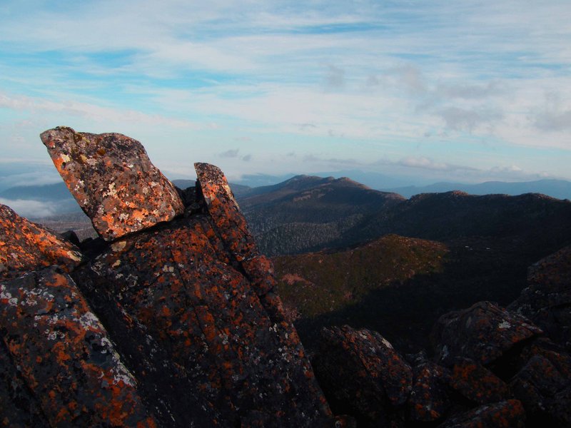 South From Mt Weld.JPG