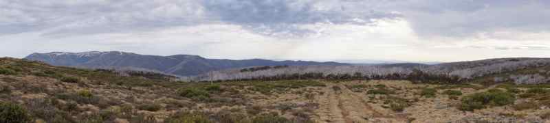 Bogong Circuit 2.jpg