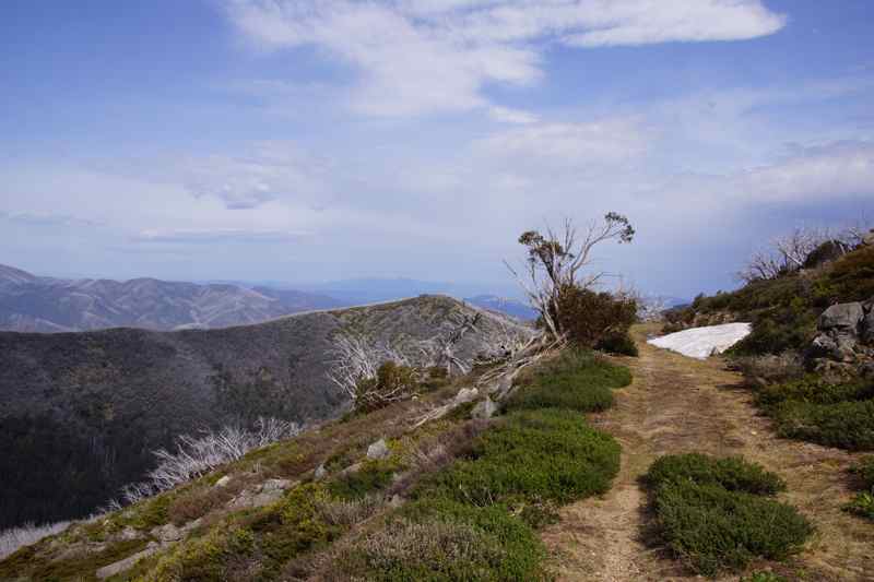Bogong Circuit 3.jpg