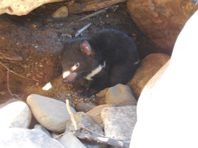 DSCN0250.jpg
