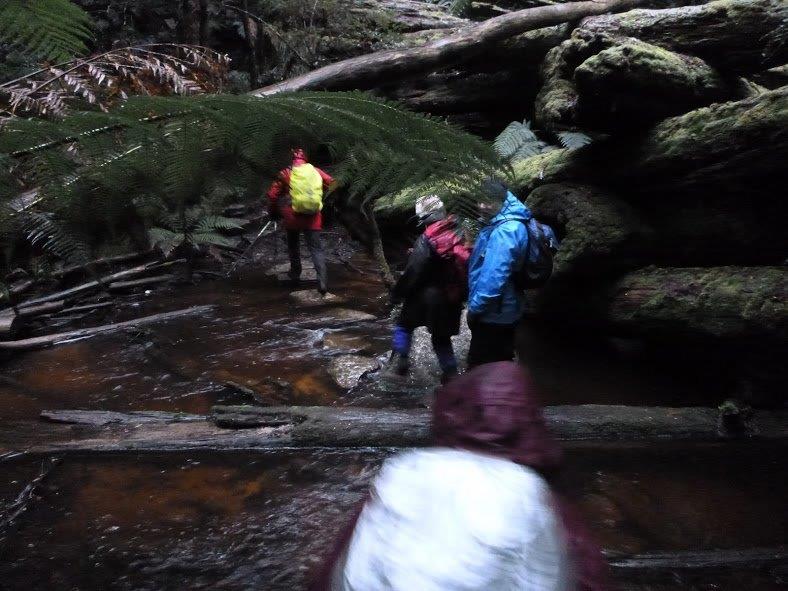Powellton creek crossing.jpg