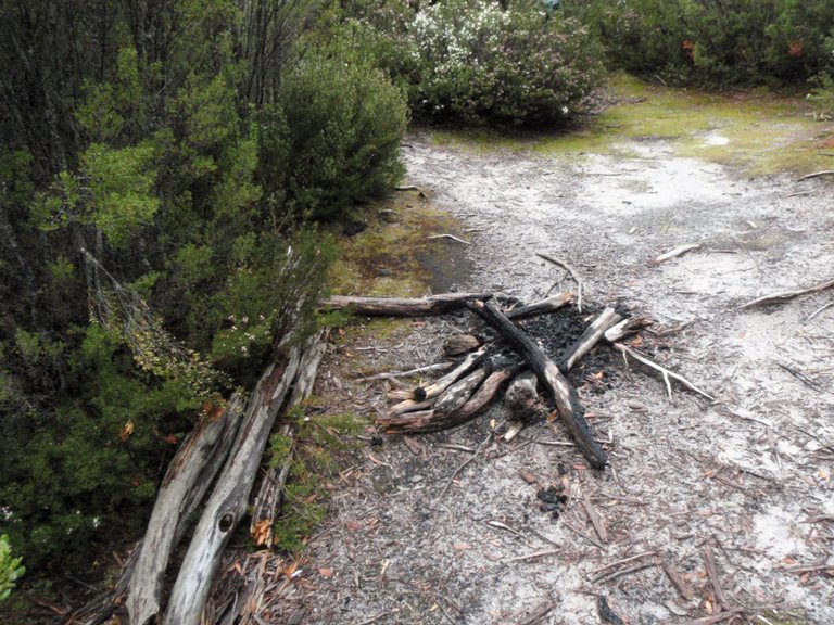 RhonaCampfire_2009.jpg