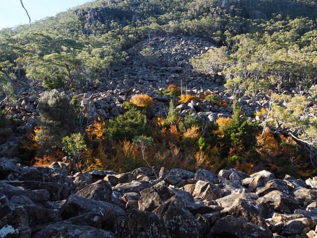 P4240402.jpg