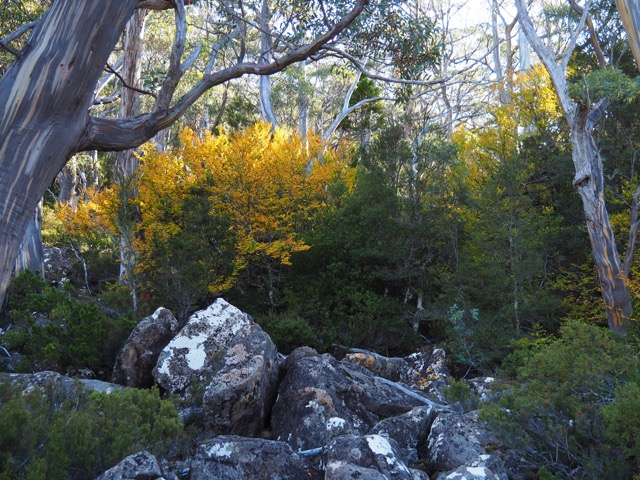 P4240404.jpg