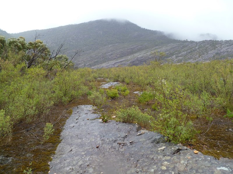 Terrace leading down into the upper reaches of Boggy Creek..jpg