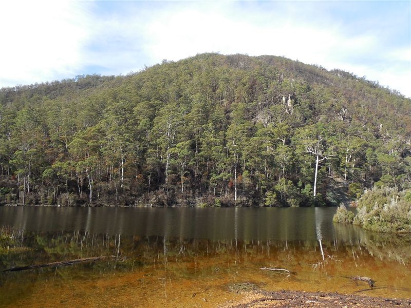 DSCN0631.jpg