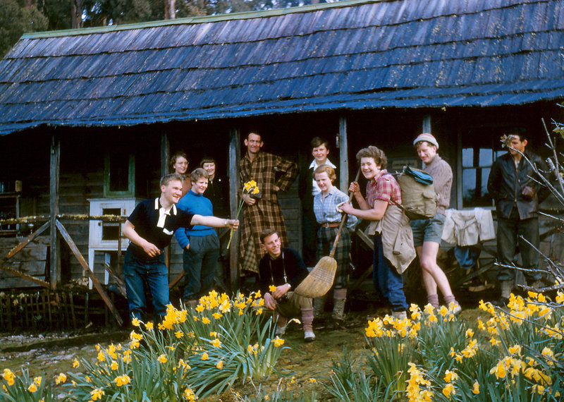 Mtn Hut Daffs.jpg