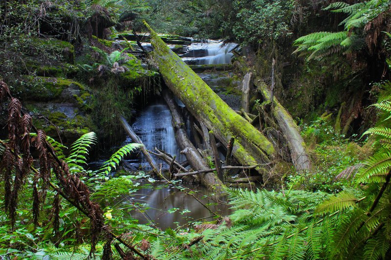 Allambee Beek Falls Lower.jpg