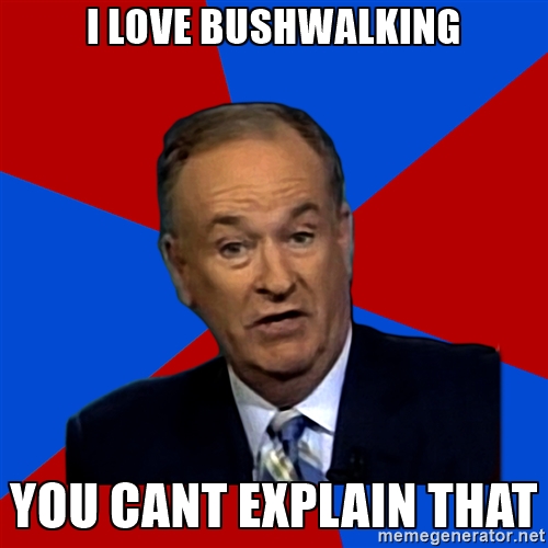 Bill O'reilly.jpg