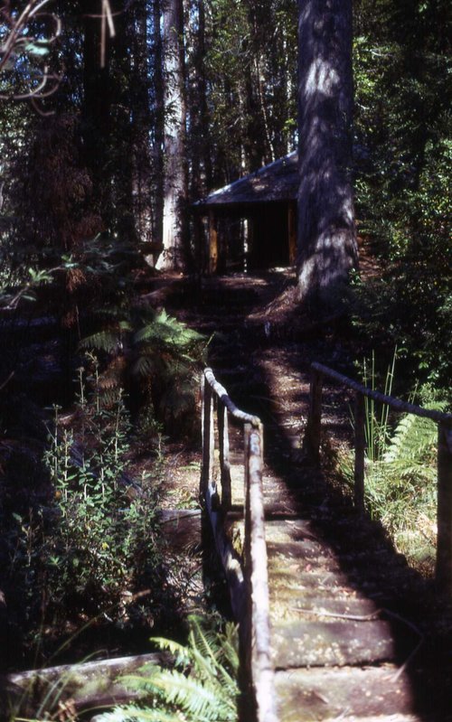 Pagoda Styx River 4-1974 B.jpg