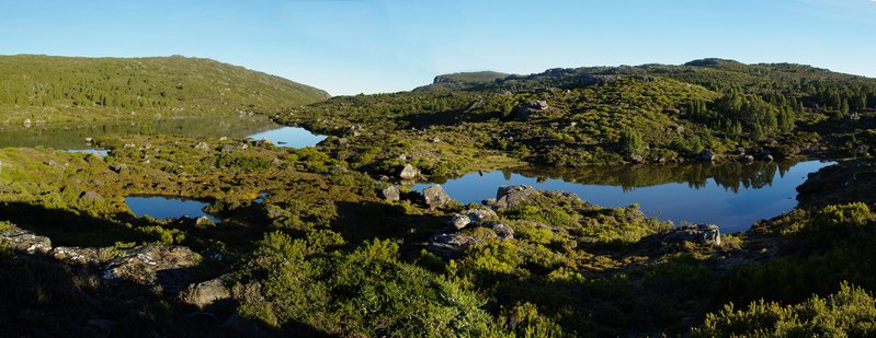4768LittleFisherMorningPan.JPG