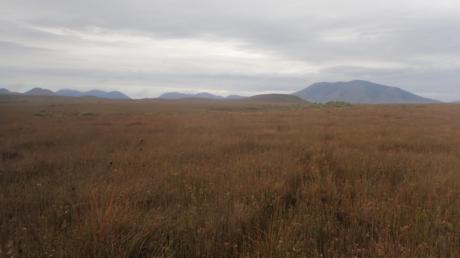 Coastal plains. Looking back to Norfolk Range and Mt Sunday from the SW.JPG