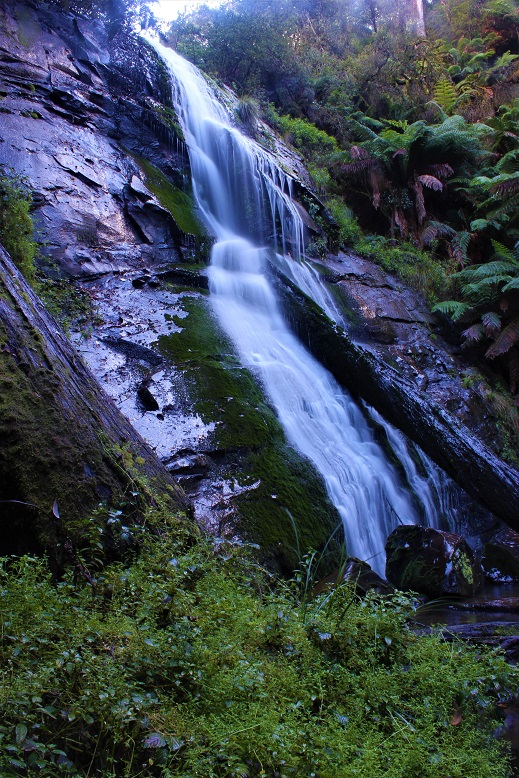 Strzelecki Ranges waterfall Upper.jpg