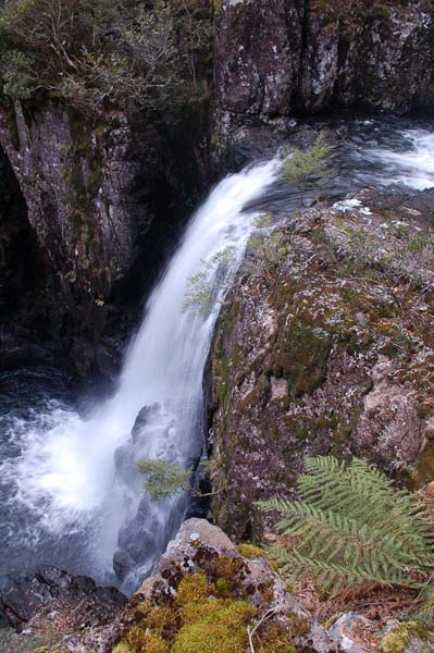 Gloucester Falls July (27) sp.jpg