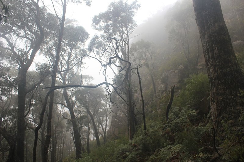 8 Descending East of Middleton Gap.jpg