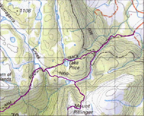 pillinger.jpg