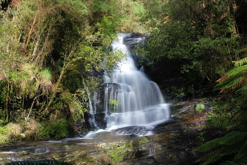 Albert River Falls (1st Drop).jpg