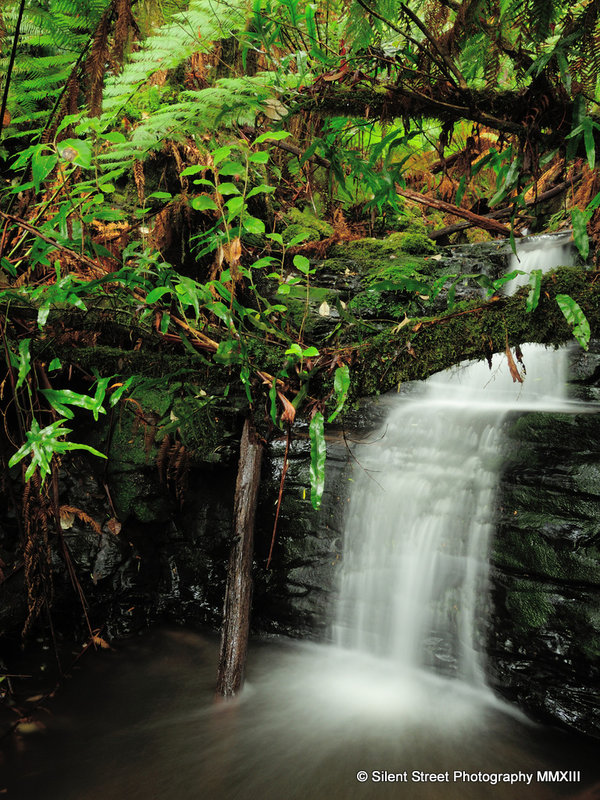 OREN Falls Upper Tier_GONP_7-2013_SSPHY.JPG