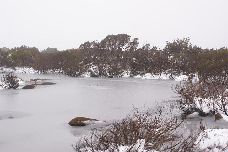 Frozen Tarn.JPG