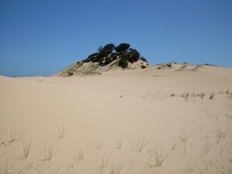 Marley Dunes 2.jpg