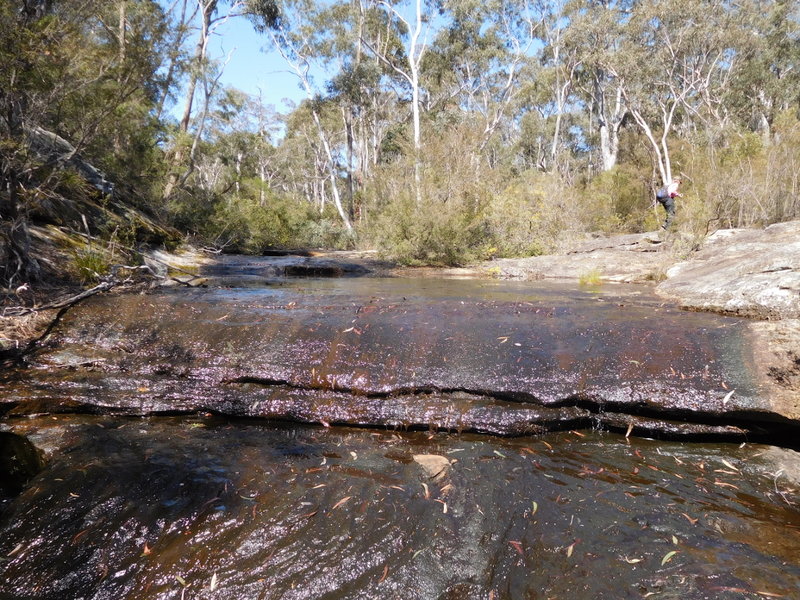 martincreekwaterfall2017.JPG