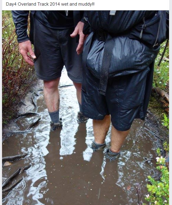 wet and muddy.JPG